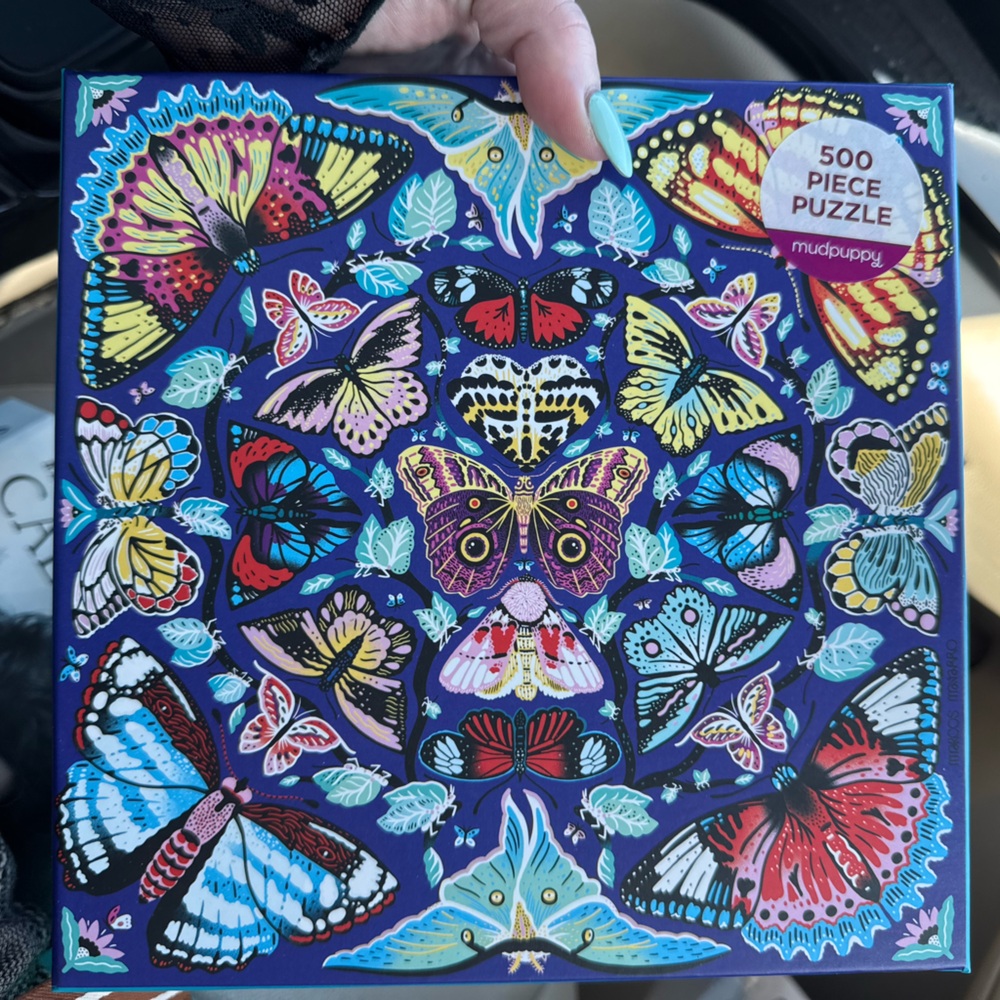 Butterfly Puzzle